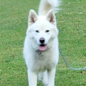 Meet your Posher, Shannon